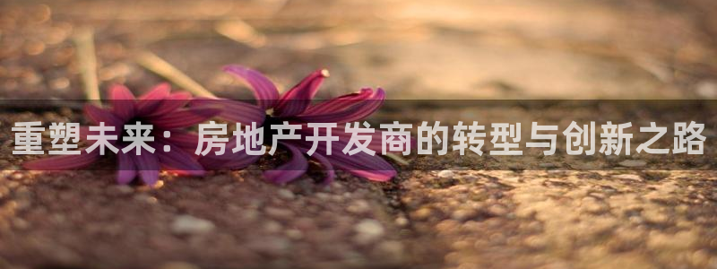 新宝5上70 667：重塑未来：房地产开发商的转型与创新之路