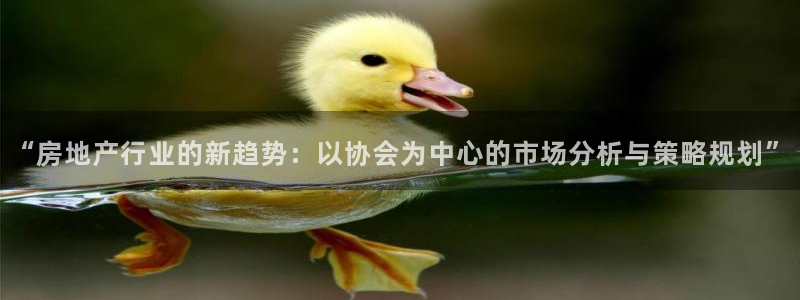 新宝5娱乐平台：“房地产行业的新趋势：以协会为中心的市场分析