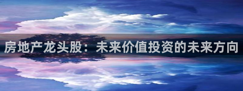 新宝5娱乐学：房地产龙头股：未来价值投资的未来方向