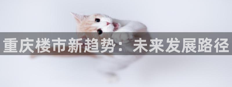 新宝5登陆：重庆楼市新趋势：未来发展路径