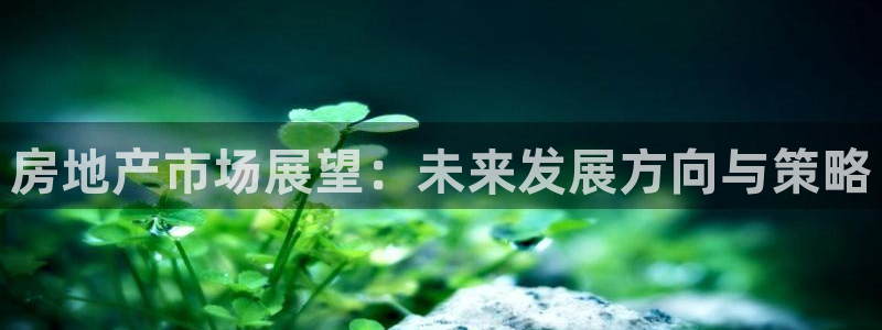 新宝5什么时候上市：房地产市场展望：未来发展方向与策略