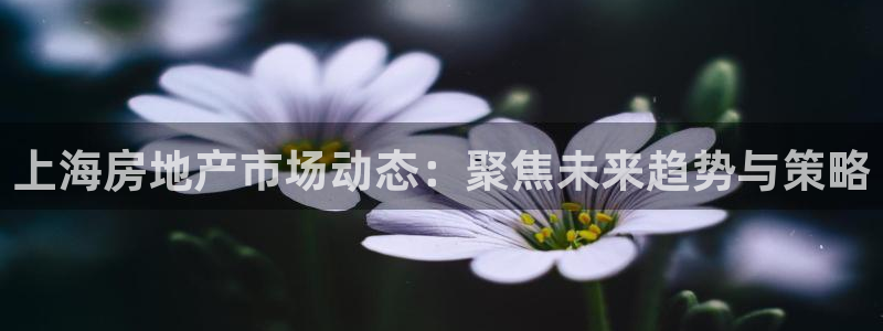 新宝5代理注册：上海房地产市场动态：聚焦未来趋势与策略