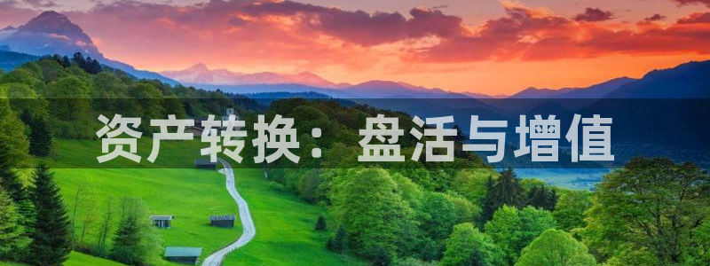 新宝5登陆地址：资产转换：盘活与增值