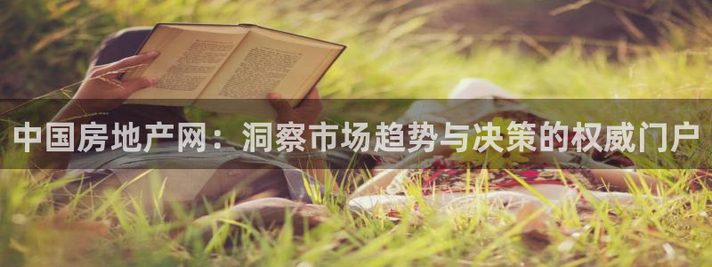 新宝5源码：中国房地产网：洞察市场趋势与决策的权威门户