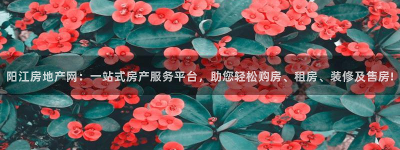新宝5公司：阳江房地产网：一站式房产服务平台，助您轻松购房、