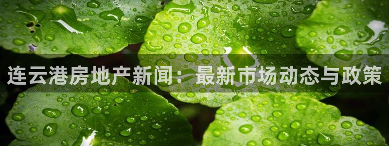 新宝5官方登录入口：连云港房地产新闻：最新市场动态与政策