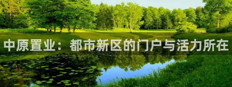 新宝5娱乐然：中原置业：都市新区的门户与活力所在