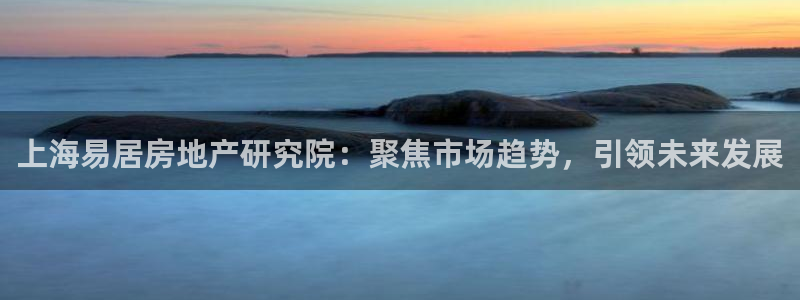 新宝j2O5O5O：上海易居房地产研究院：聚焦市场趋势，引领