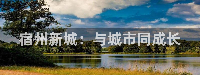 新宝5后：宿州新城：与城市同成长