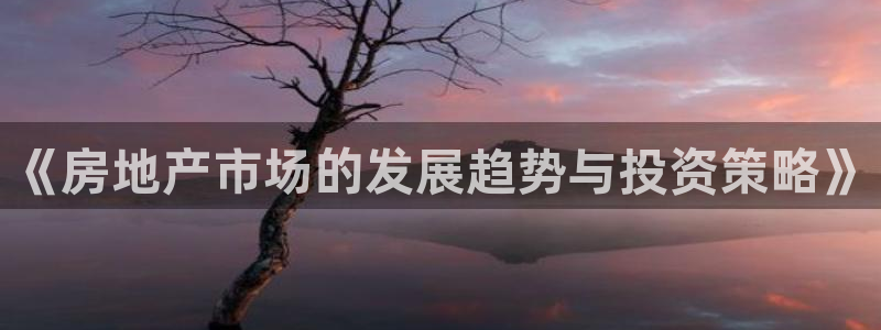 新宝5系列：《房地产市场的发展趋势与投资策略》