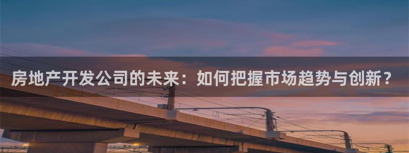 新宝5彩票平台登陆：房地产开发公司的未来：如何把握市场趋势与