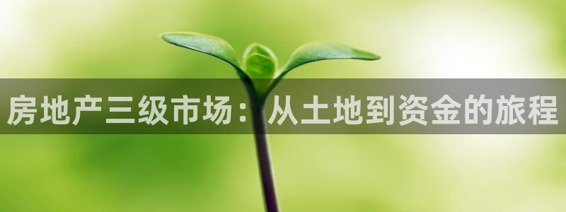 新宝5褚32OO59：房地产三级市场：从土地到资金的旅程