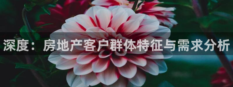新宝5 唯一：深度：房地产客户群体特征与需求分析