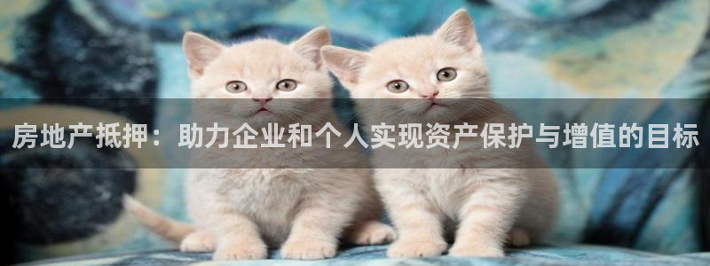 新宝_5：房地产抵押：助力企业和个人实现资产保护与增值的目标
