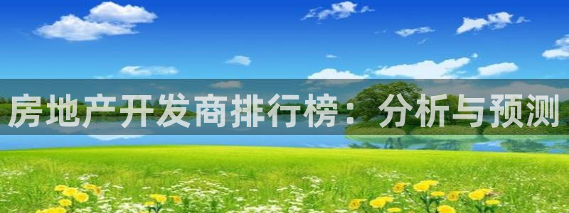 新宝5谠631257：房地产开发商排行榜：分析与预测