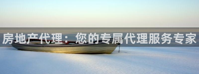 新宝5下载测试：房地产代理：您的专属代理服务专家