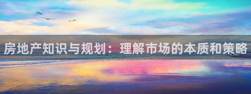 新宝5直属：房地产知识与规划：理解市场的本质和策略