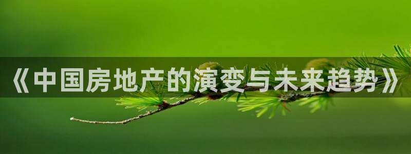 新宝5线路登录：《中国房地产的演变与未来趋势》