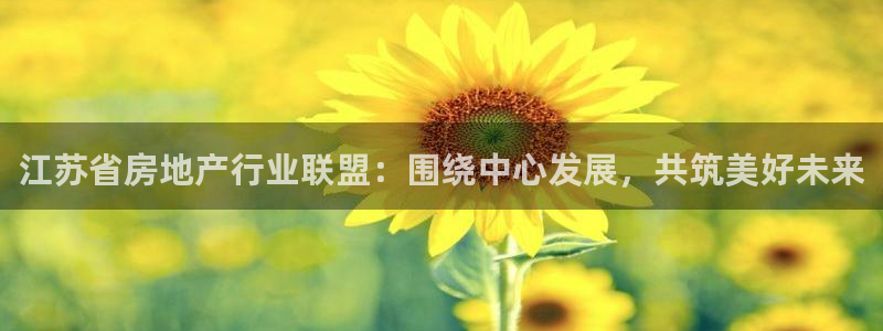 新宝5飞355051：江苏省房地产行业联盟：围绕中心发展，共