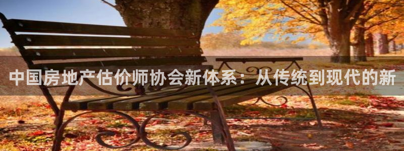 新宝5 注册：中国房地产估价师协会新体系：从传统到现代的新
