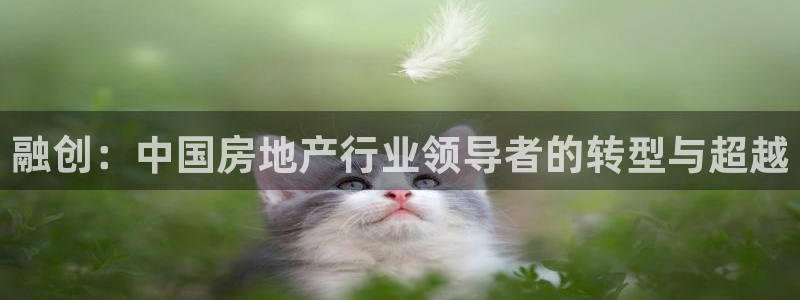 新宝5主管：融创：中国房地产行业领导者的转型与超越