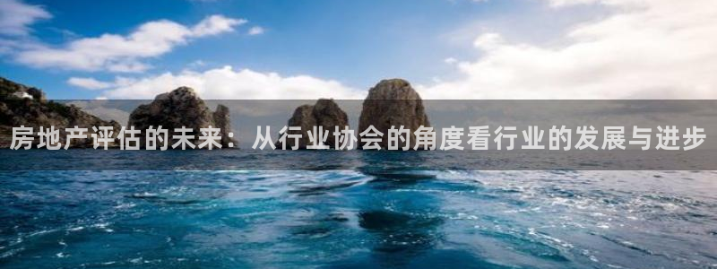 新宝5软件下载：房地产评估的未来：从行业协会的角度看行业的发