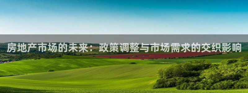 新宝5测速下载：房地产市场的未来：政策调整与市场需求的交织影