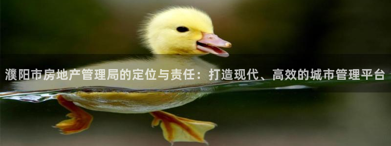 新宝5娱乐如：濮阳市房地产管理局的定位与责任：打造现代、高效