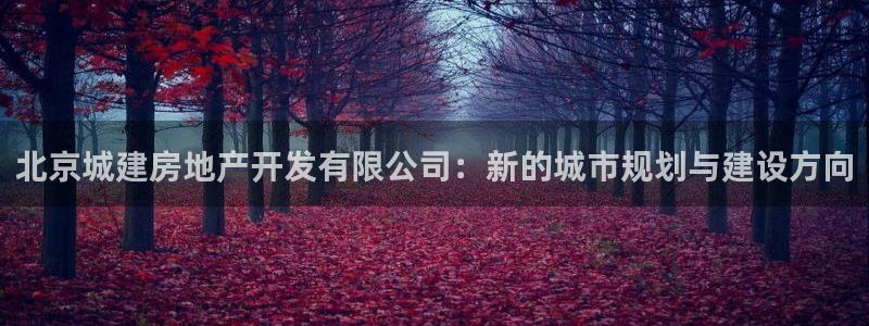 新宝5天：北京城建房地产开发有限公司：新的城市规划与建设方向