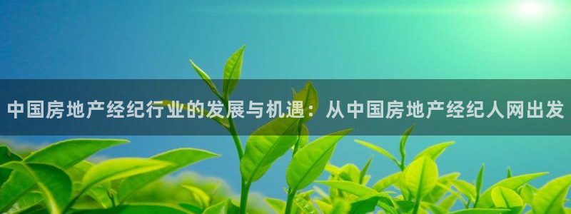 新宝5平台注册资金：中国房地产经纪行业的发展与机遇：从中国房
