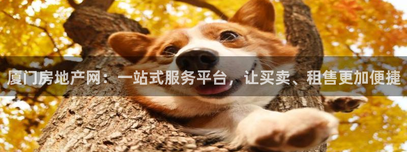 新宝5测速下载：厦门房地产网：一站式服务平台，让买卖、租售更