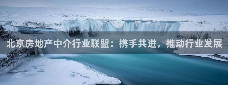 老新宝5授权登录：北京房地产中介行业联盟：携手共进，推动行业