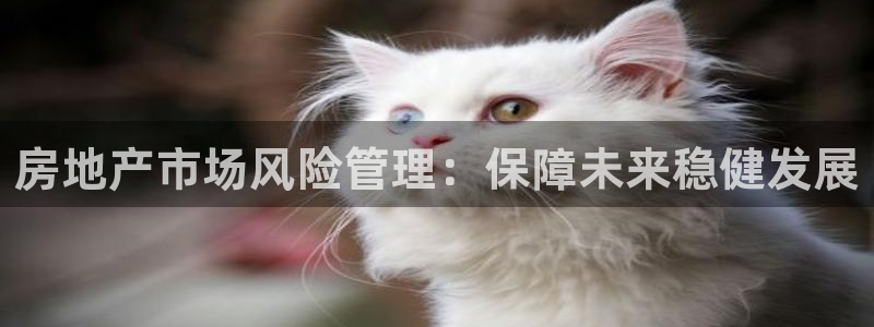 新宝5蒋74OOO5：房地产市场风险管理：保障未来稳健发展