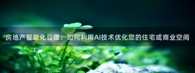 新宝5策略：房地产智能化管理：如何利用AI技术优化您的住宅或