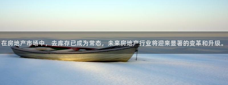 新宝5入口：在房地产市场中，去库存已成为常态，未来房地产行业