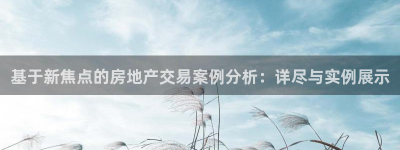 新宝5现在还能玩吗：基于新焦点的房地产交易案例分析：详尽与实