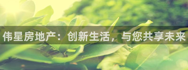 新宝5平台登录下载软件：伟星房地产：创新生活，与您共享未来
