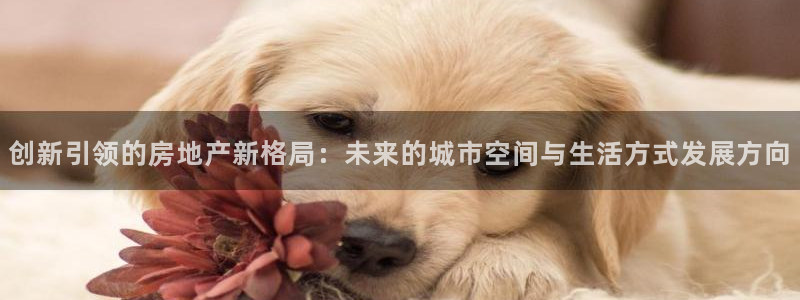 新宝堂新会陈皮5年：创新引领的房地产新格局：未来的城市空间与