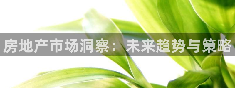 新宝5登录不了：房地产市场洞察：未来趋势与策略