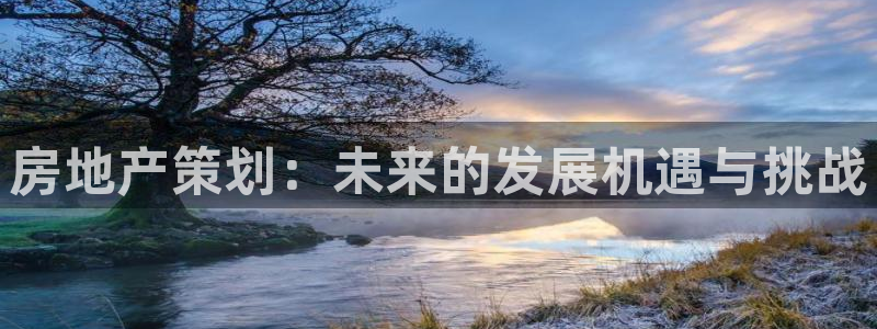 新宝5后：房地产策划：未来的发展机遇与挑战