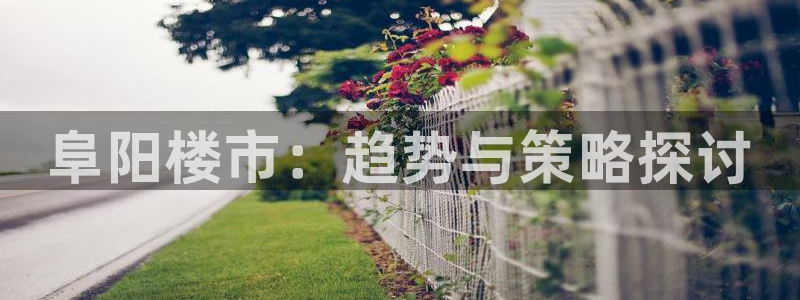 老新宝5授权登录：阜阳楼市：趋势与策略探讨