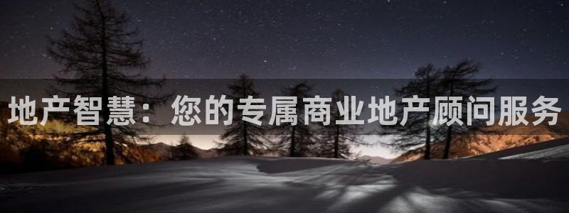 新宝5安卓版：地产智慧：您的专属商业地产顾问服务