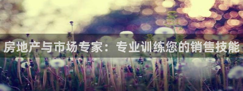 2022新宝骏rs 5：房地产与市场专家：专业训练您的销售技