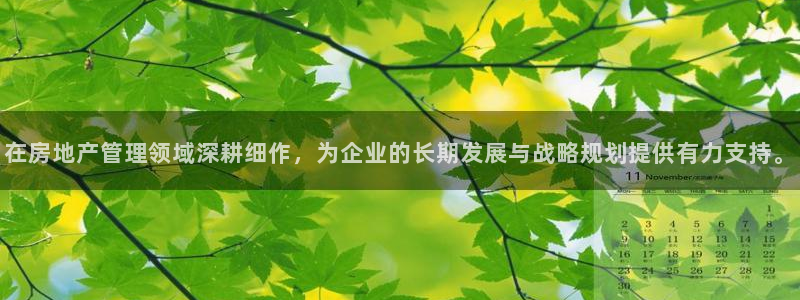 新宝5秒开：在房地产管理领域深耕细作，为企业的长期发展与战略