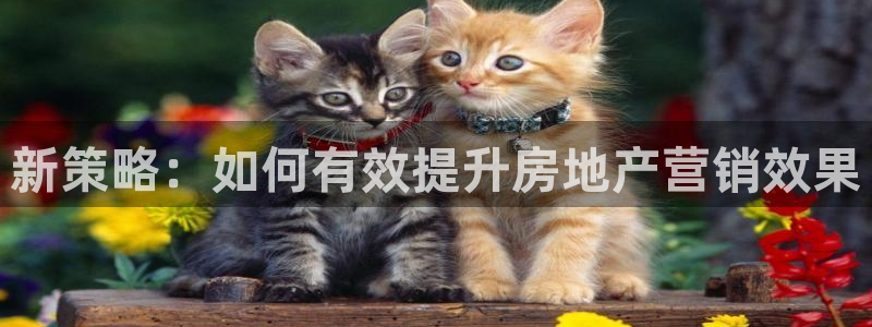 新宝5挂机：新策略：如何有效提升房地产营销效果