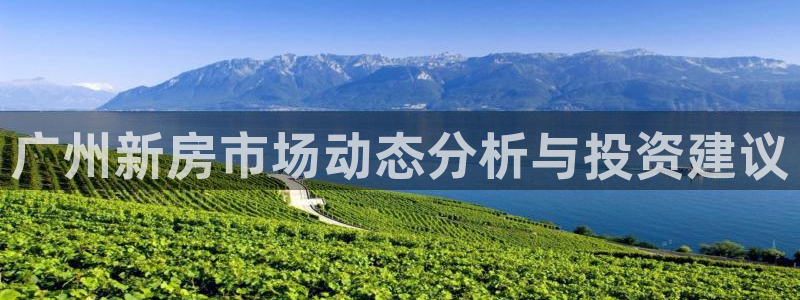 股票5G宝新：广州新房市场动态分析与投资建议
