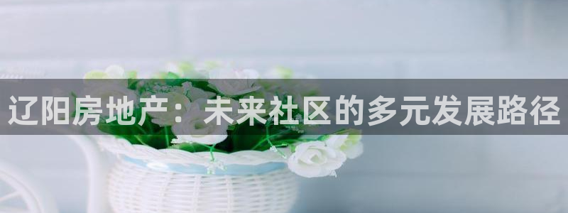 新宝5娱乐登录：辽阳房地产：未来社区的多元发展路径