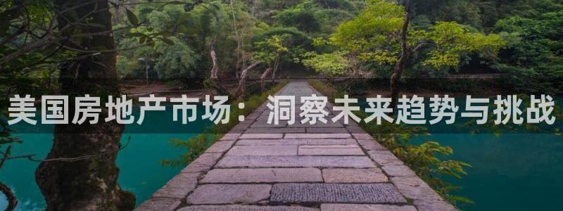 新宝5d：美国房地产市场：洞察未来趋势与挑战
