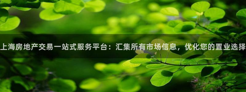 新宝5测速平台登录：上海房地产交易一站式服务平台：汇集所有市