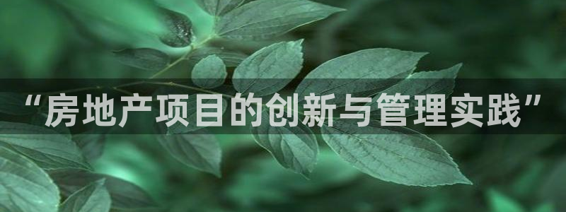 新宝5黑彩：“房地产项目的创新与管理实践”